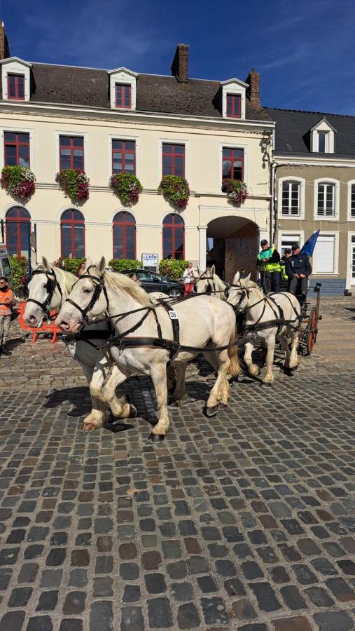 Gite La Grange 8Personnes Au Sein D'Un Elevage De Chevaux Brucquedal Экстерьер фото